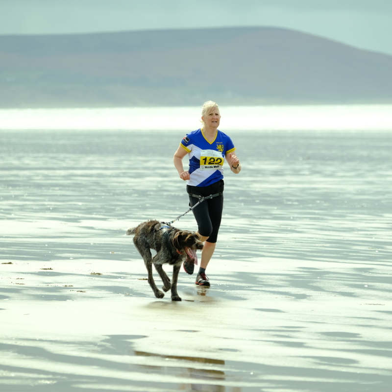 Pet Scentials - animal aromatherapy consultations Glasgow, Edinburgh and across central Scotland