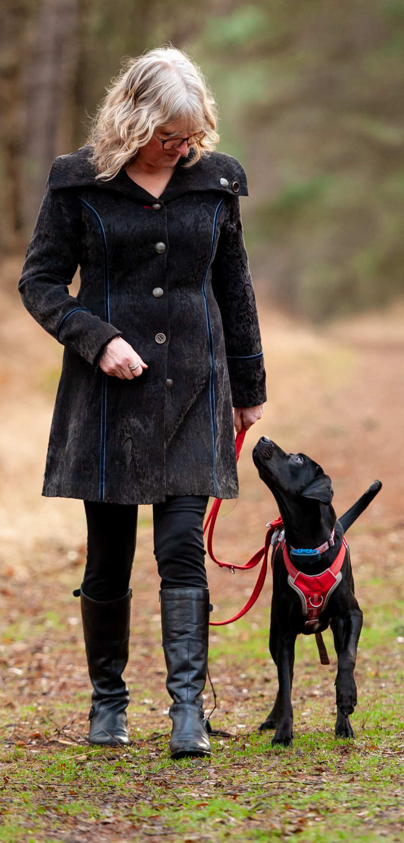 Pet Scentials - animal aromatherapy consultations Glasgow, Edinburgh and across central Scotland