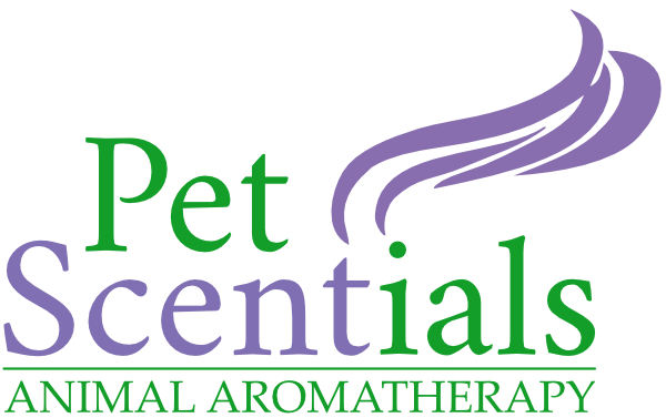 Pet Scentials - animal aromatherapy consultations Glasgow, Edinburgh and across central Scotland